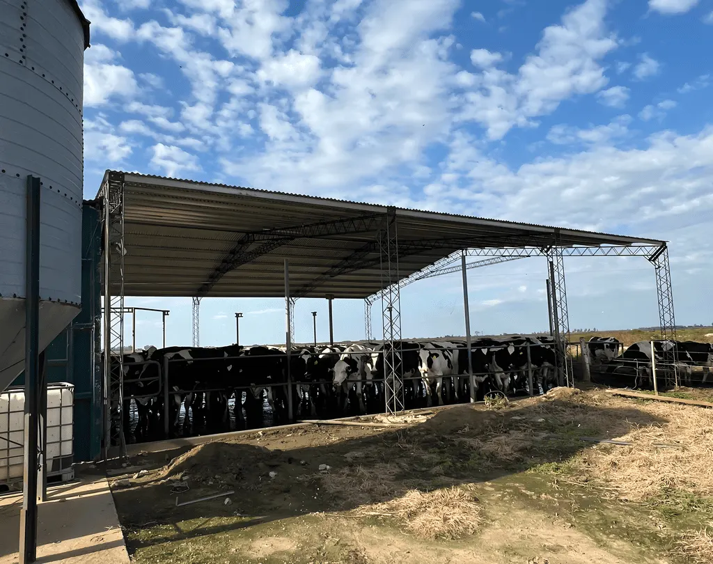 tinglados Remeco Metalúrgica